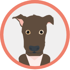 Illustrated headshot of Ipa, Rebeccas dog